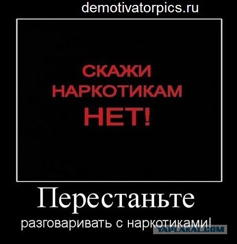Всё пропало