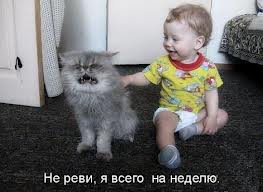 Ребенок, котейко и собакен