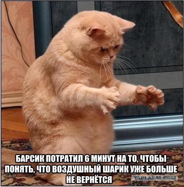 Шарик
