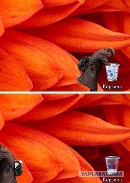 Смешные картинки и комментарии