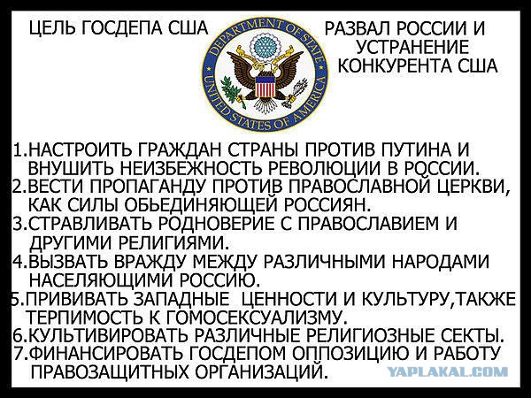 ... повылазила в Питере