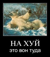 Полистал страницы жителей Киева...