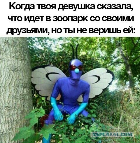 Cмешные баяны