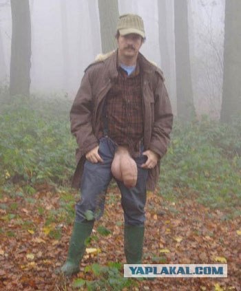 Жесть в лесу. 18+