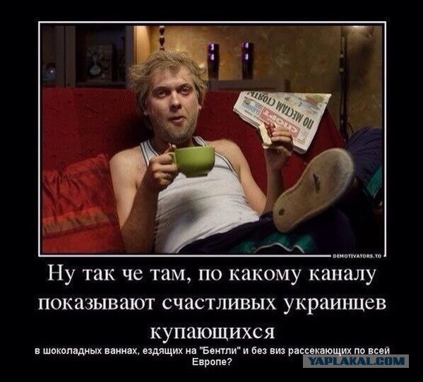 Весёлые картинки