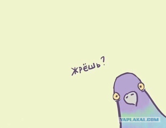 Жена решила похудеть