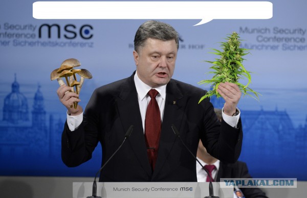 Что еще предложит Петя?