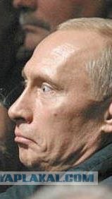 Хоть какая-то польза от программы Малахова