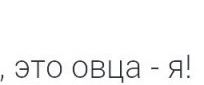 И встретились два одиночества...