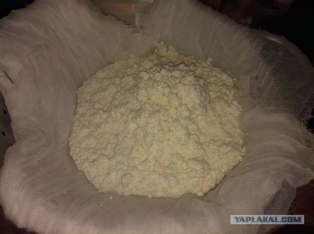 Как зарукожопить домашний сыр