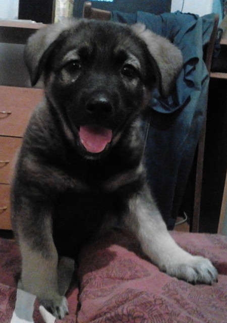 Цобакин четверг