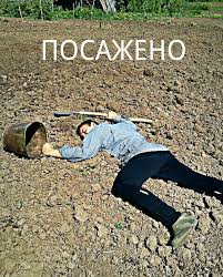 Пост про картоху