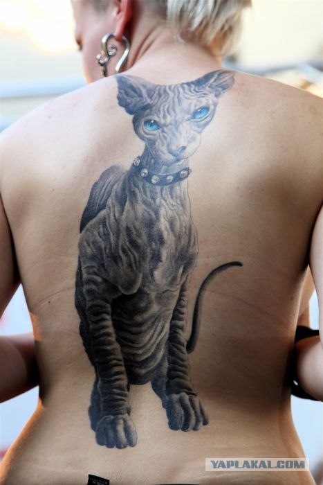 Наколи себе котэ!