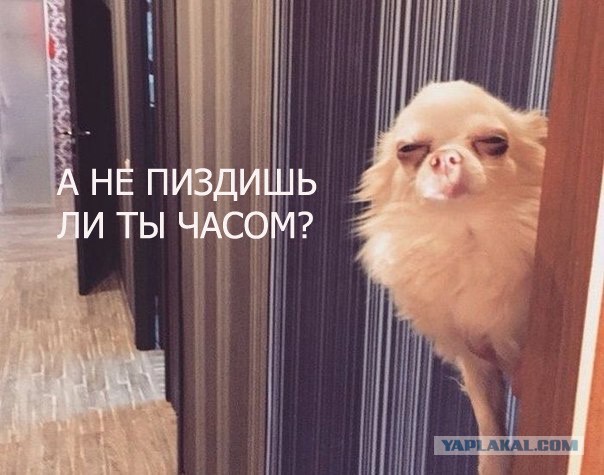 Что происходит?