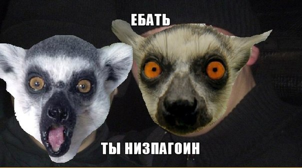 Фактики о французском языке