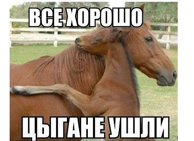 Картинки из сети.
