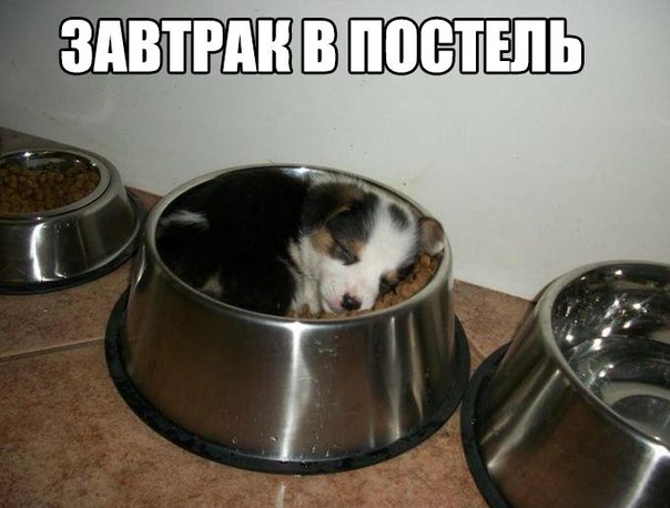 Отовсюду понемногу