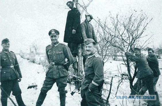 О победах и поражениях