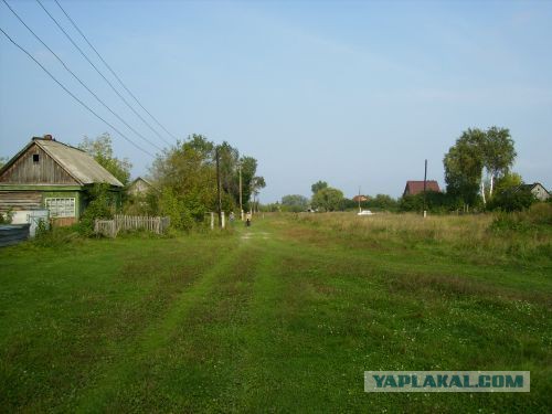 В деревню...