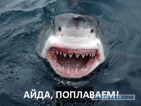 Это служба или пляж? Как амерские военнослужащие отдыхают в открытом море