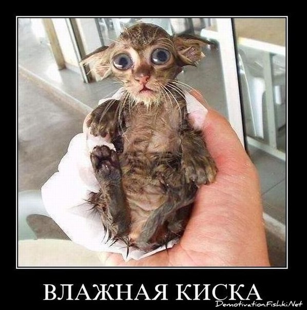 Картинок пост