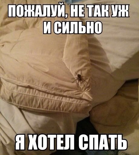 Интересные и веселые картинки