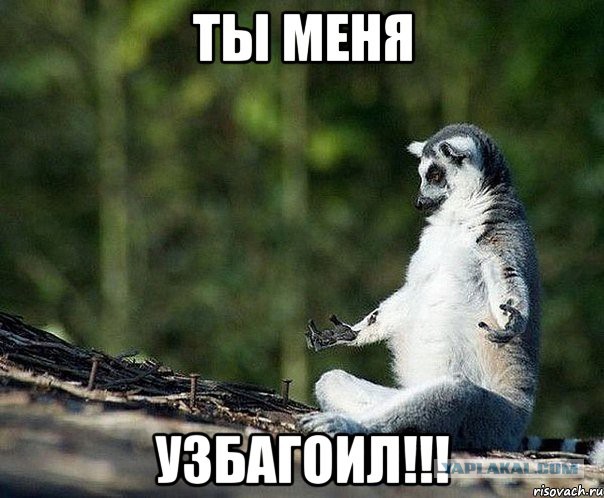 Безработный путешественник регулярно убеждает маму, что с ним все в порядке
