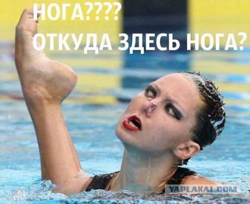 Этим фото сказано всё!