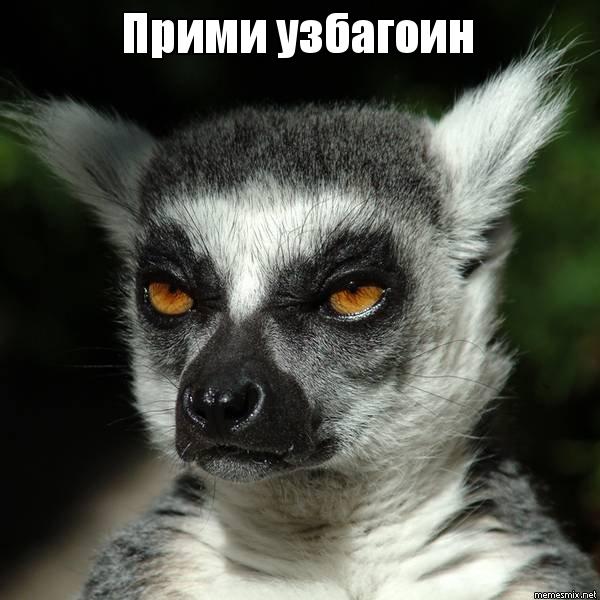 Супер оружие ДНР