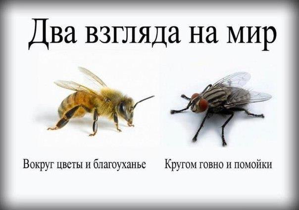 Как казахи в Севастополь ездили. Сумбурный обзор.