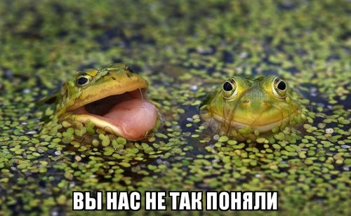 Президент Украины Петр Порошенко поздравил Дональда Трампа с победой