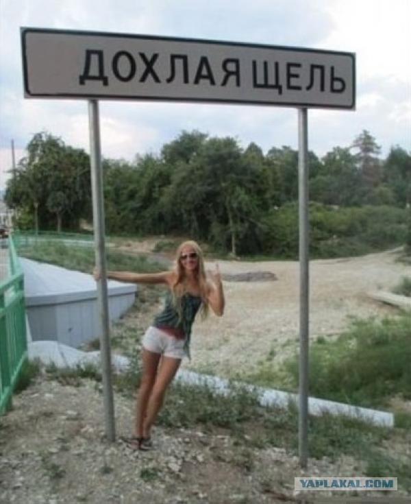 А все остальные страны нам завидуют!