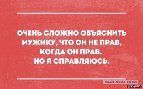 Подсмотрено на просторах