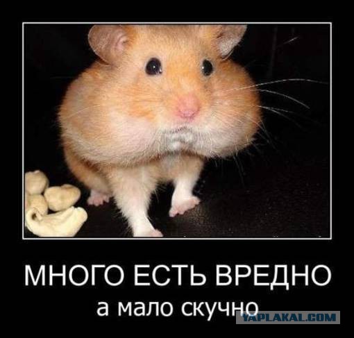 А ваша половинка как себя ведет в эти дни?