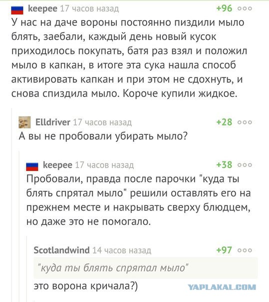 Смешные комментарии из социальных сетей 13.01.2017