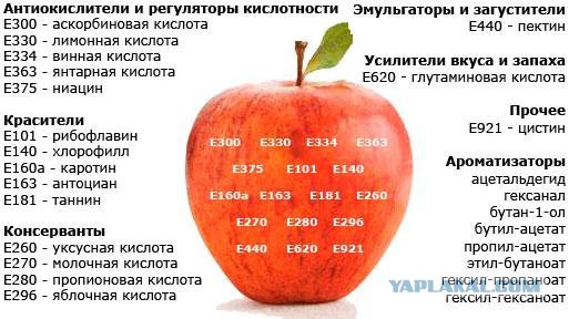 "В школе угрожали забрать ребёнка": мамы Екатеринбурга взбунтовались против пробы Манту