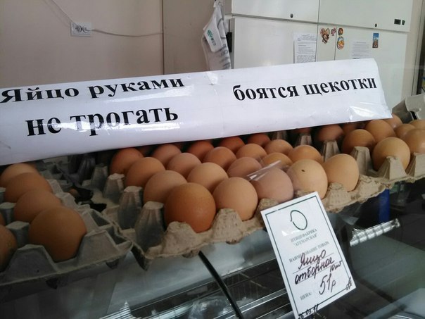 А вот и деградация подоспела. Ура, товарищи!