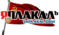 Итоги проверки пользователей