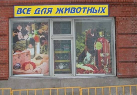 Подборка интересных и веселых картинок 11.12.18