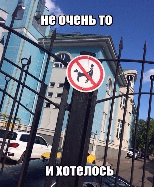 Нестандартный юмор