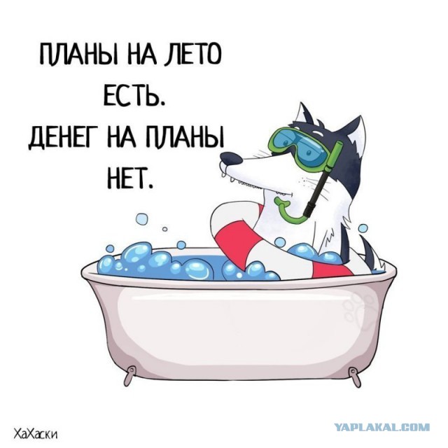 Куда поехать (полететь, поплыть) этим летом?