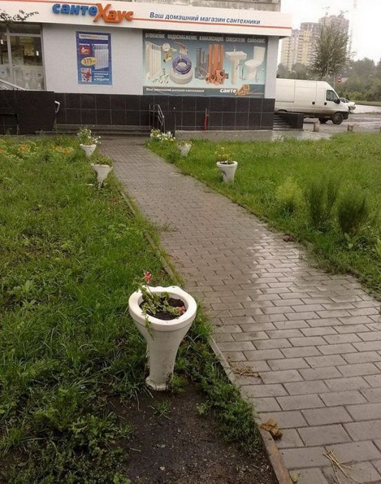 И всё-таки она наша. Лента картинок