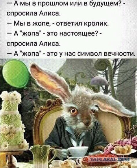 Путин отказался поздравлять Зеленского со вступлением в должность президента