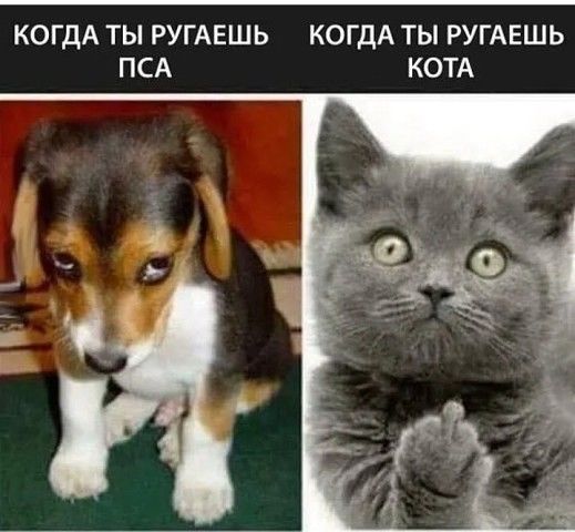 Бредзона 26.10.19