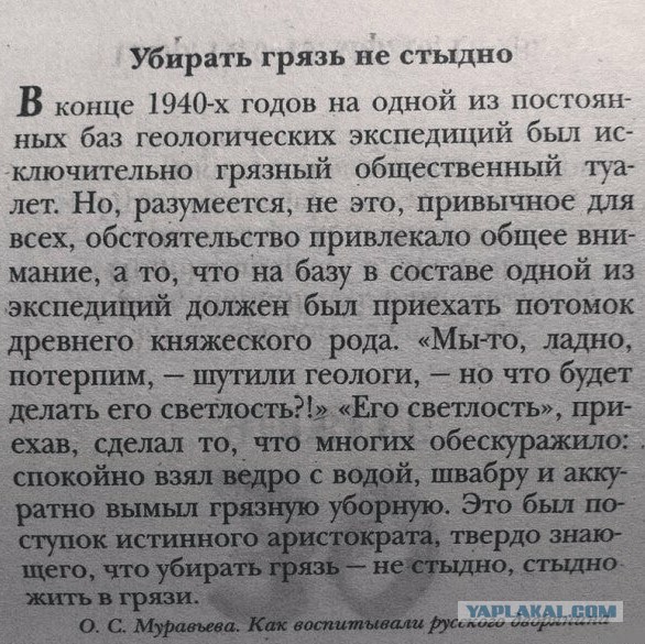 Про мытье полов