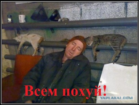 В Омске на уличных гонках автомобиль въехал в толпу людей