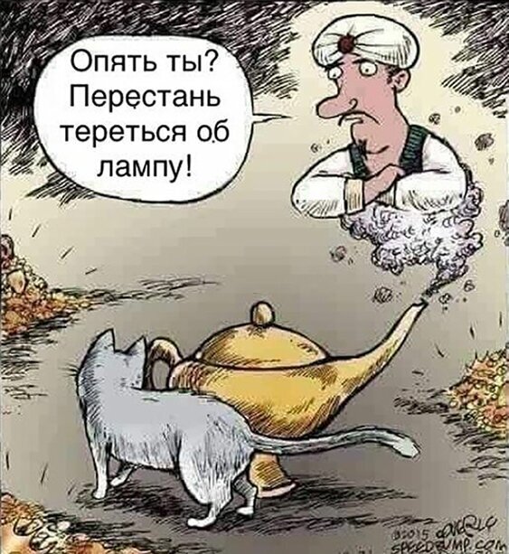 Немного картинок для настроения 11.05.20