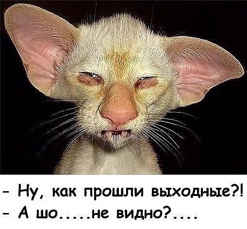 Немного картинок для настроения 12.05.20