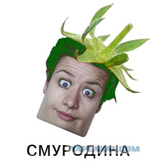 Фотожаба: Лето, фрукты, генетика!
