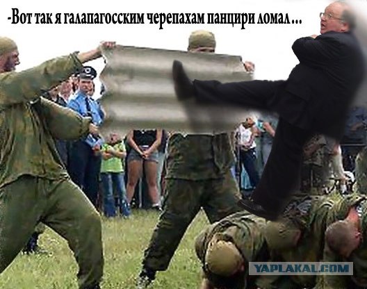 Битва фотожаберов (Команда №3)